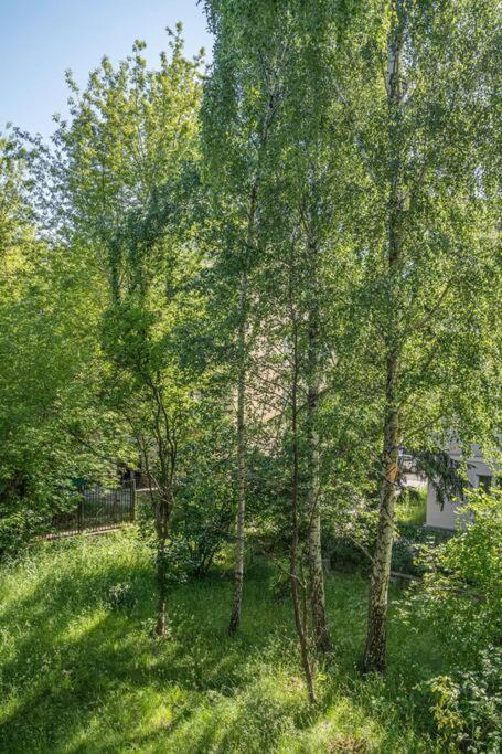 Apartamento Rozana, Stary Mokotow Varsovia Exterior foto